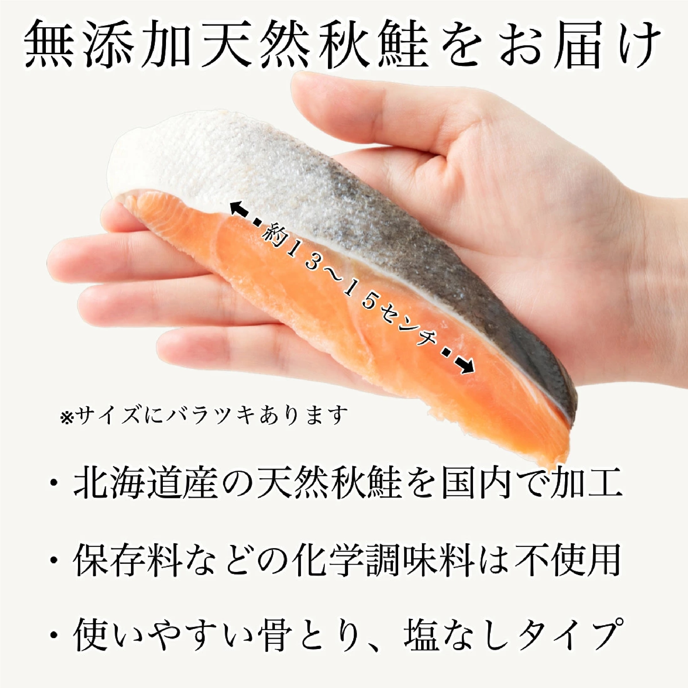 国産 天然 無塩 秋鮭 切り身 60g×10切