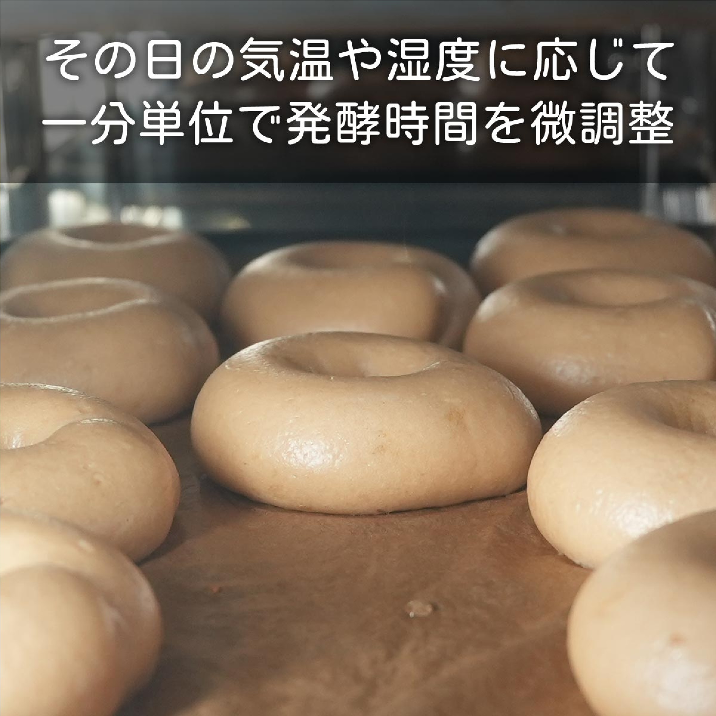 恵美須町サービスエリア 米粉のベーグル　プレーン味×５個