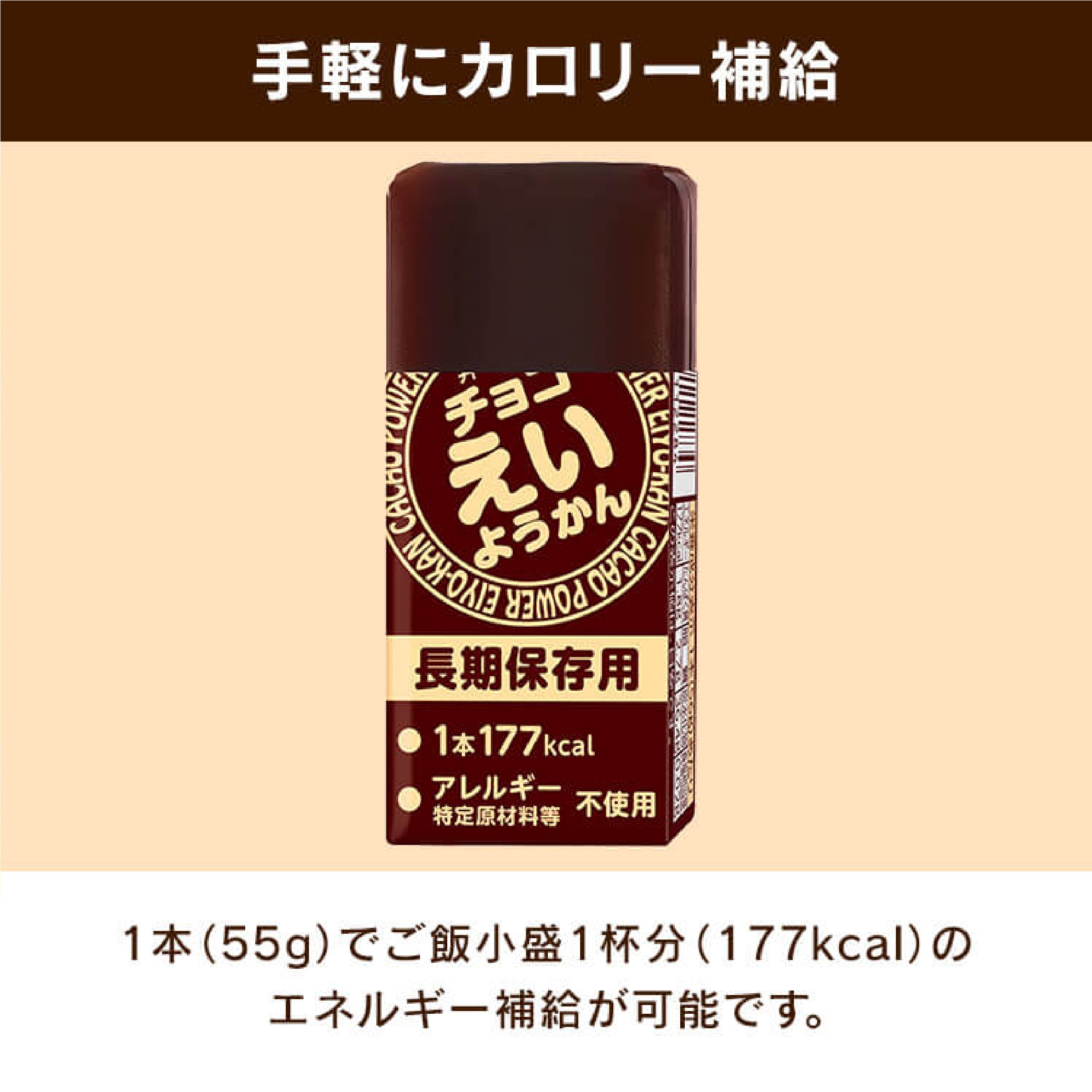 チョコえいようかん 長期保存 5箱 セット