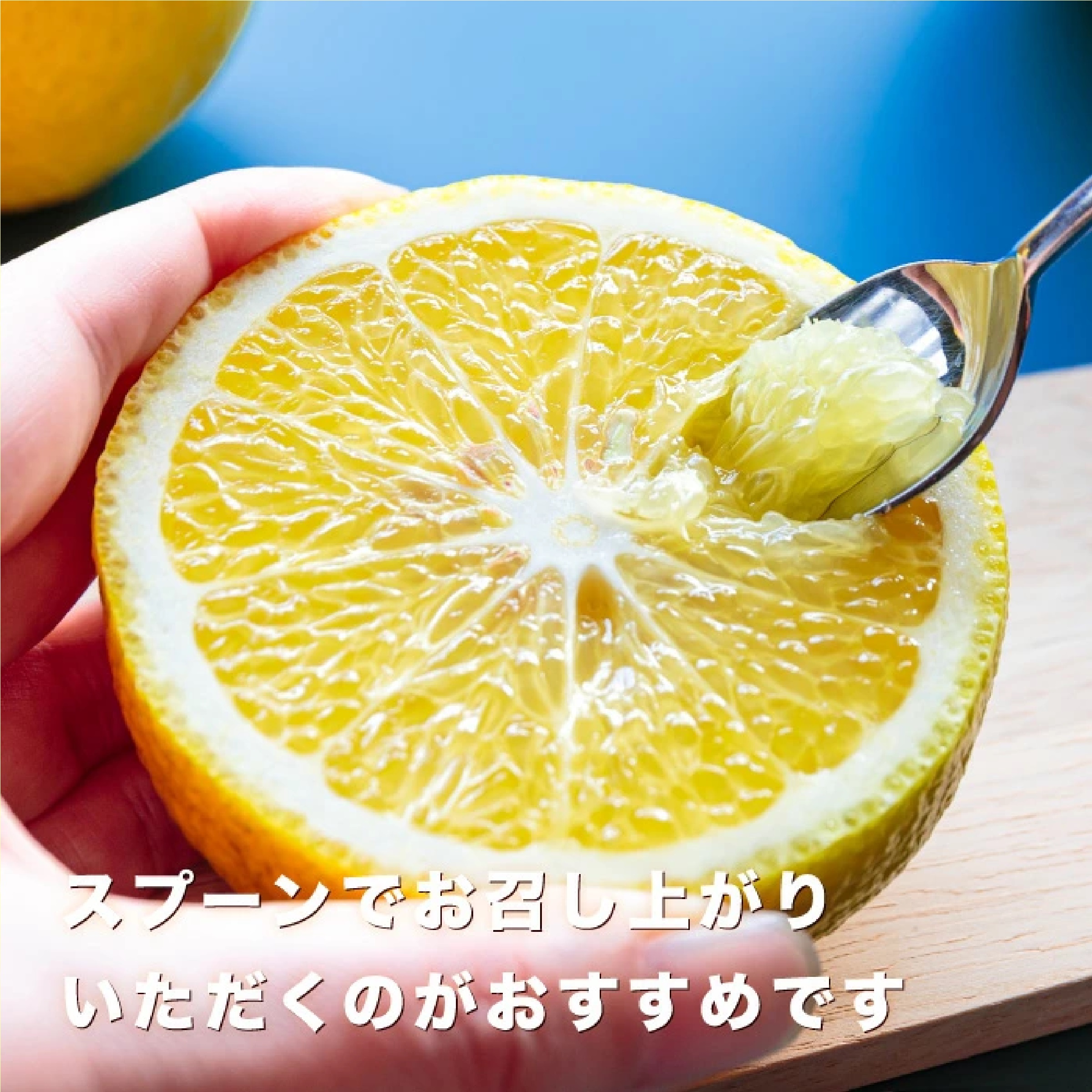 愛媛西宇和産 はるか お試し3キロ