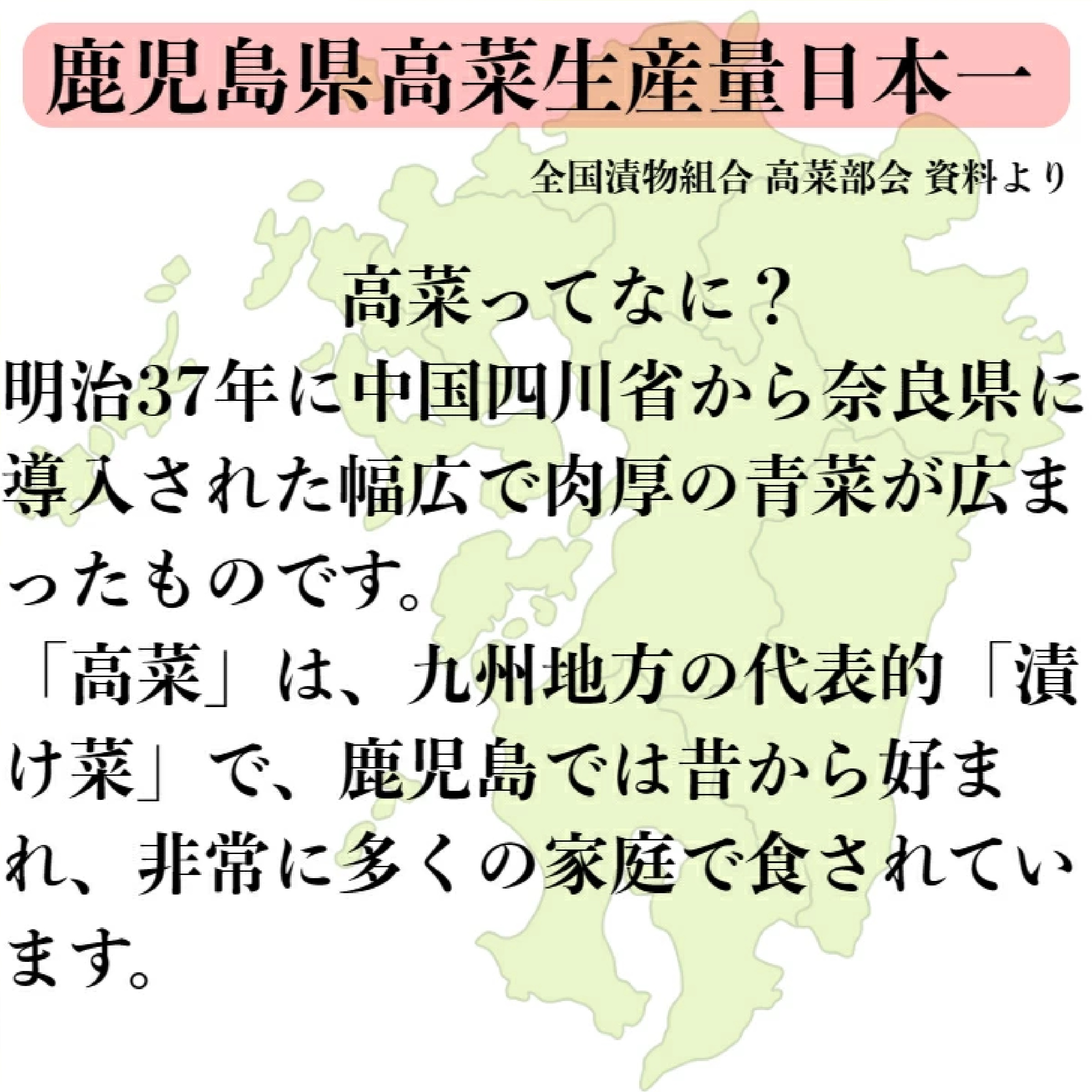 中園久太郎商店 ピリ辛高菜油炒め 500g