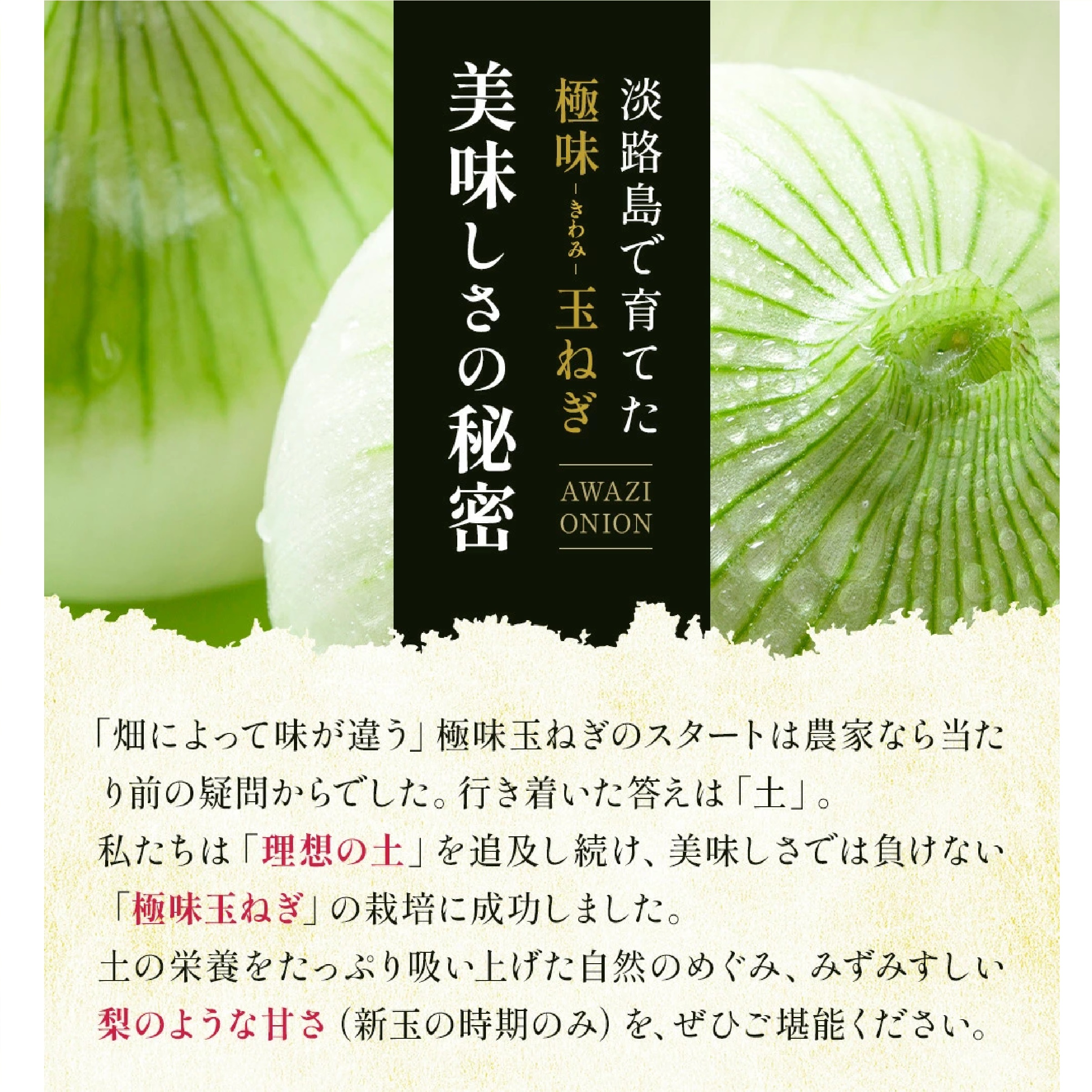 淡路島の極味玉ねぎ3kg