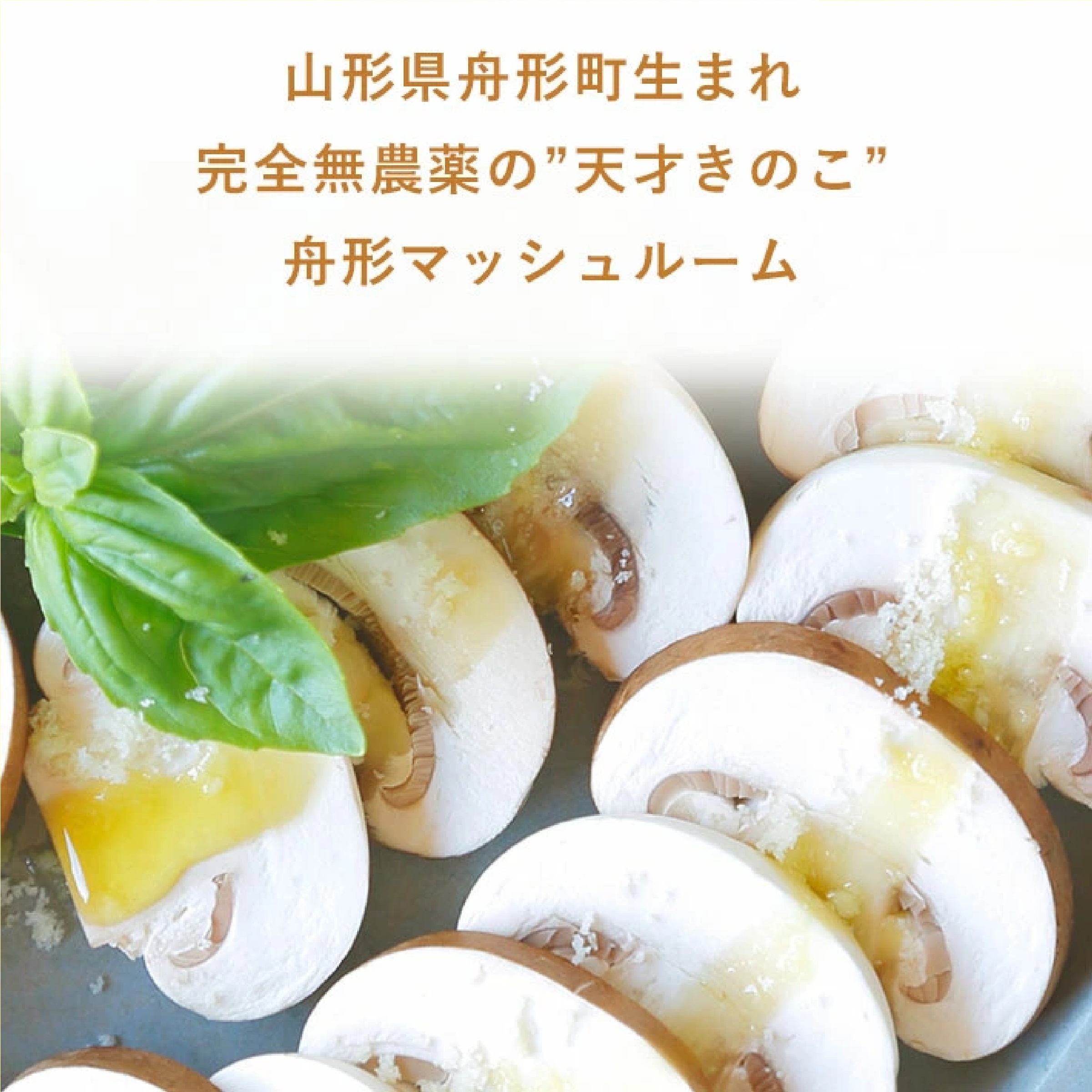 山形県産 オーガニック 舟形マッシュルームセット(ブラウン/ホワイト)