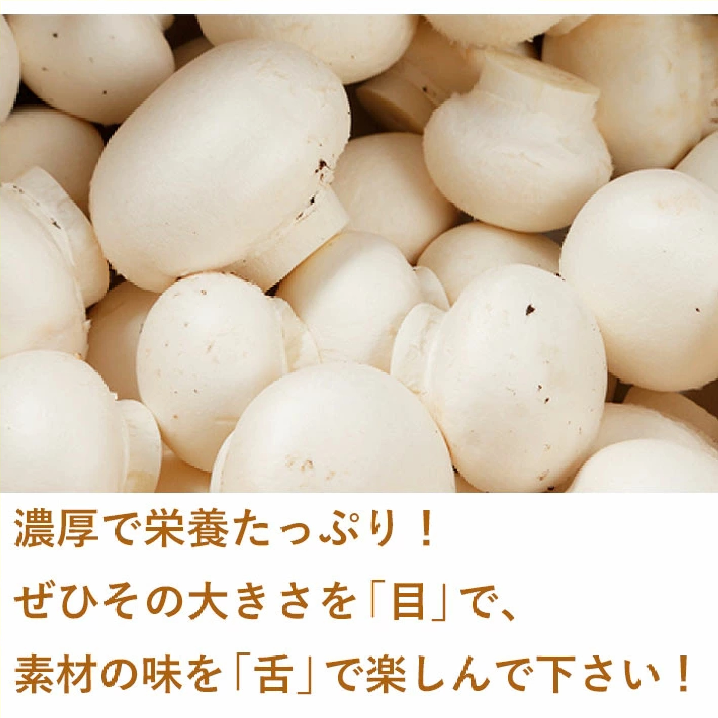 山形県産 オーガニック 舟形マッシュルームセット(ブラウン/ホワイト)