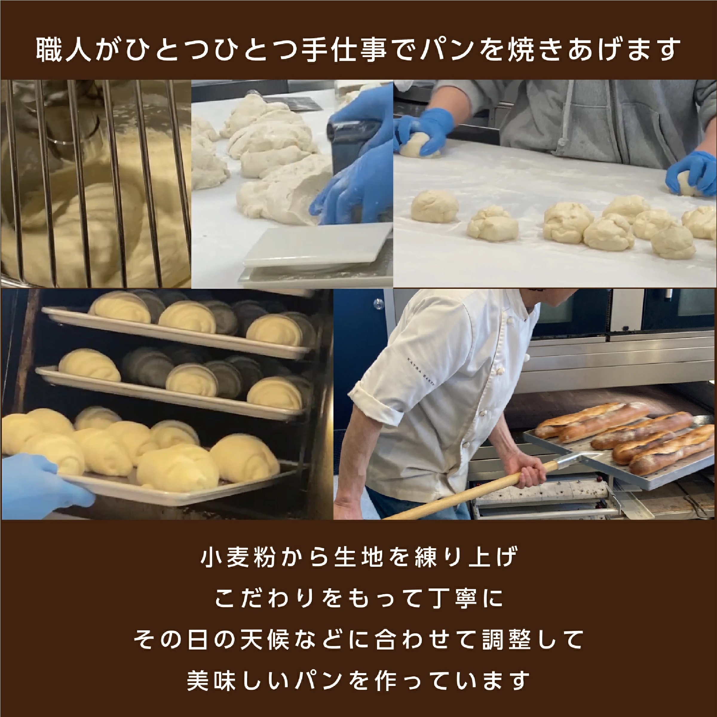 ケーラベーカリー 塩パン(冷凍) 20個