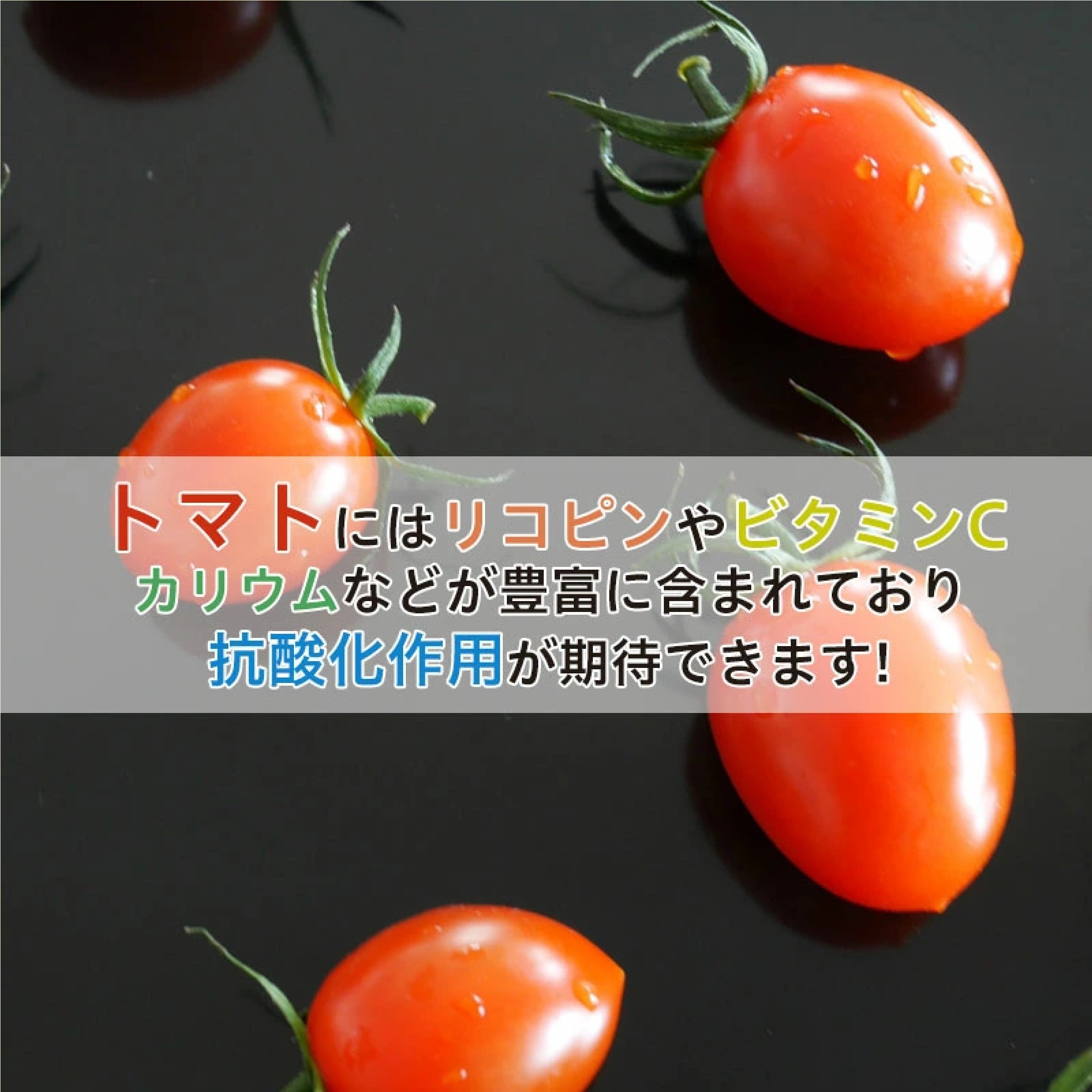 アイコミニトマト 1kg