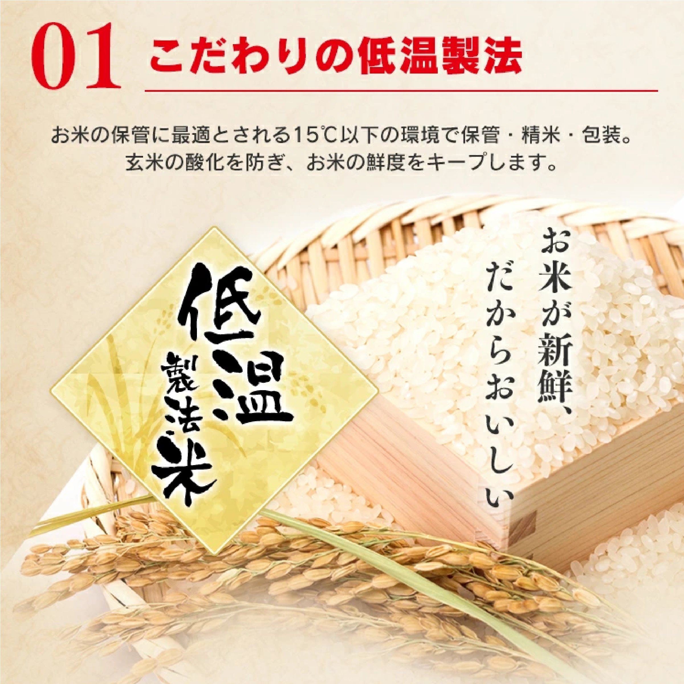 パックご飯 200g ×10食