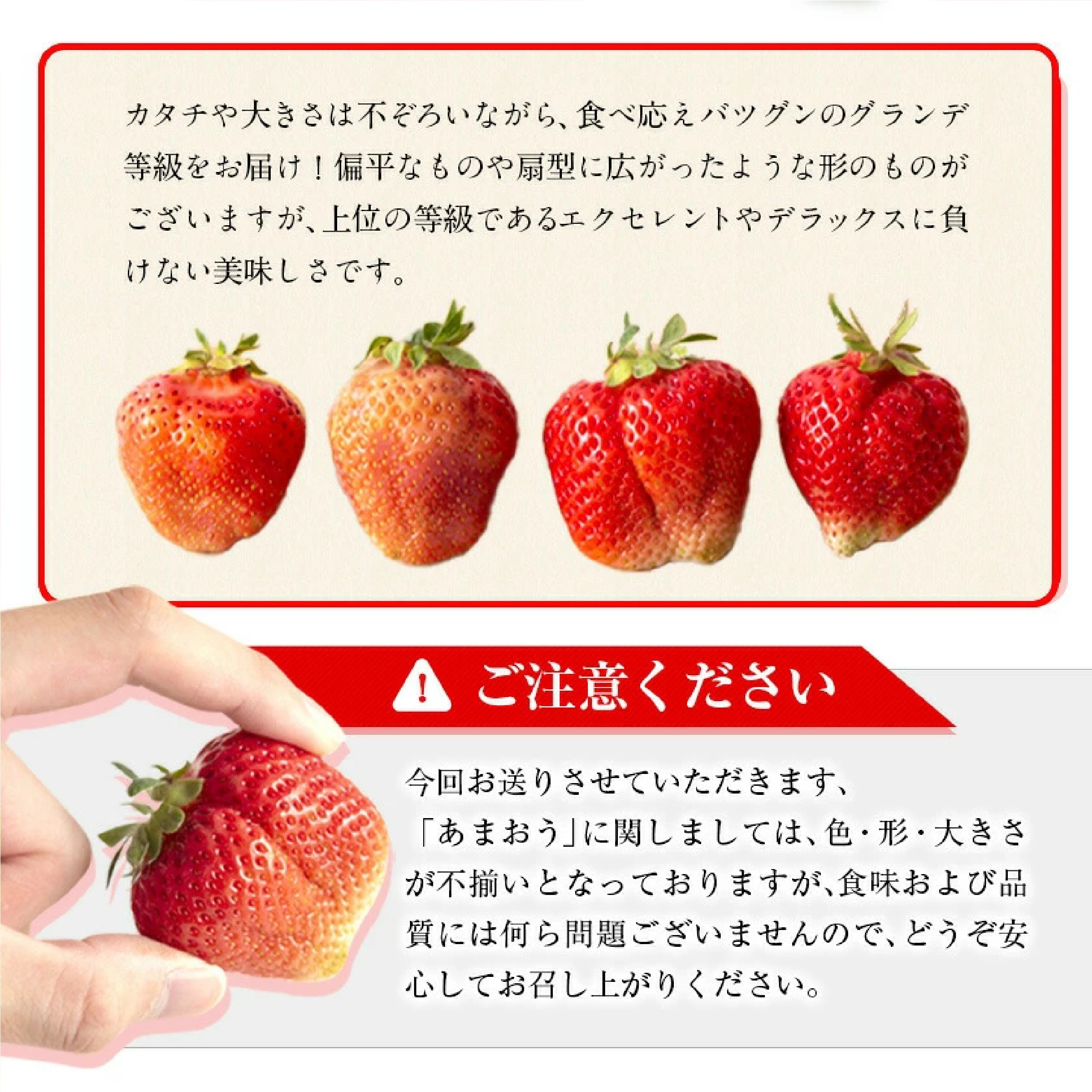 あまおう 約540g(約270g×2パック)