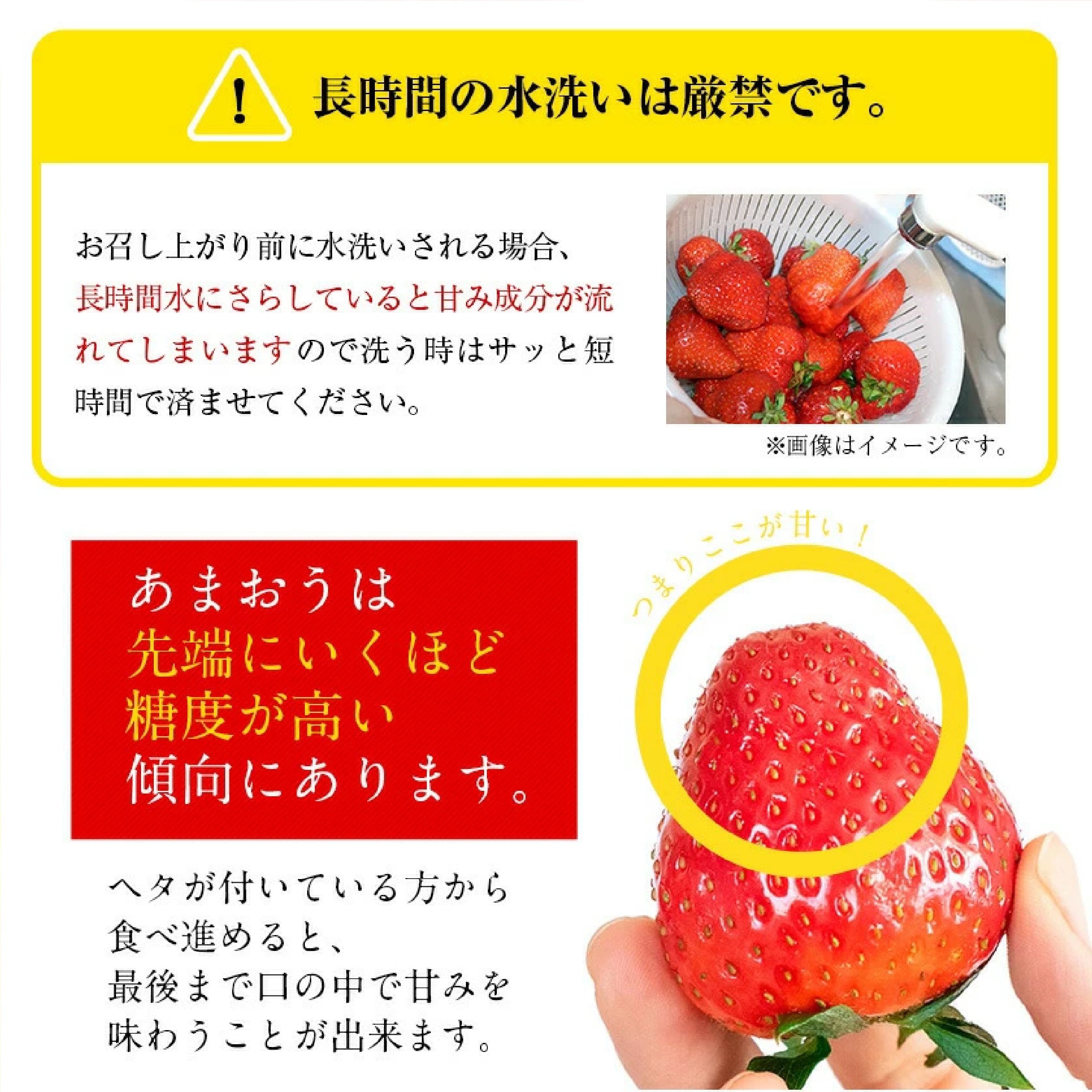 あまおう 約540g(約270g×2パック)