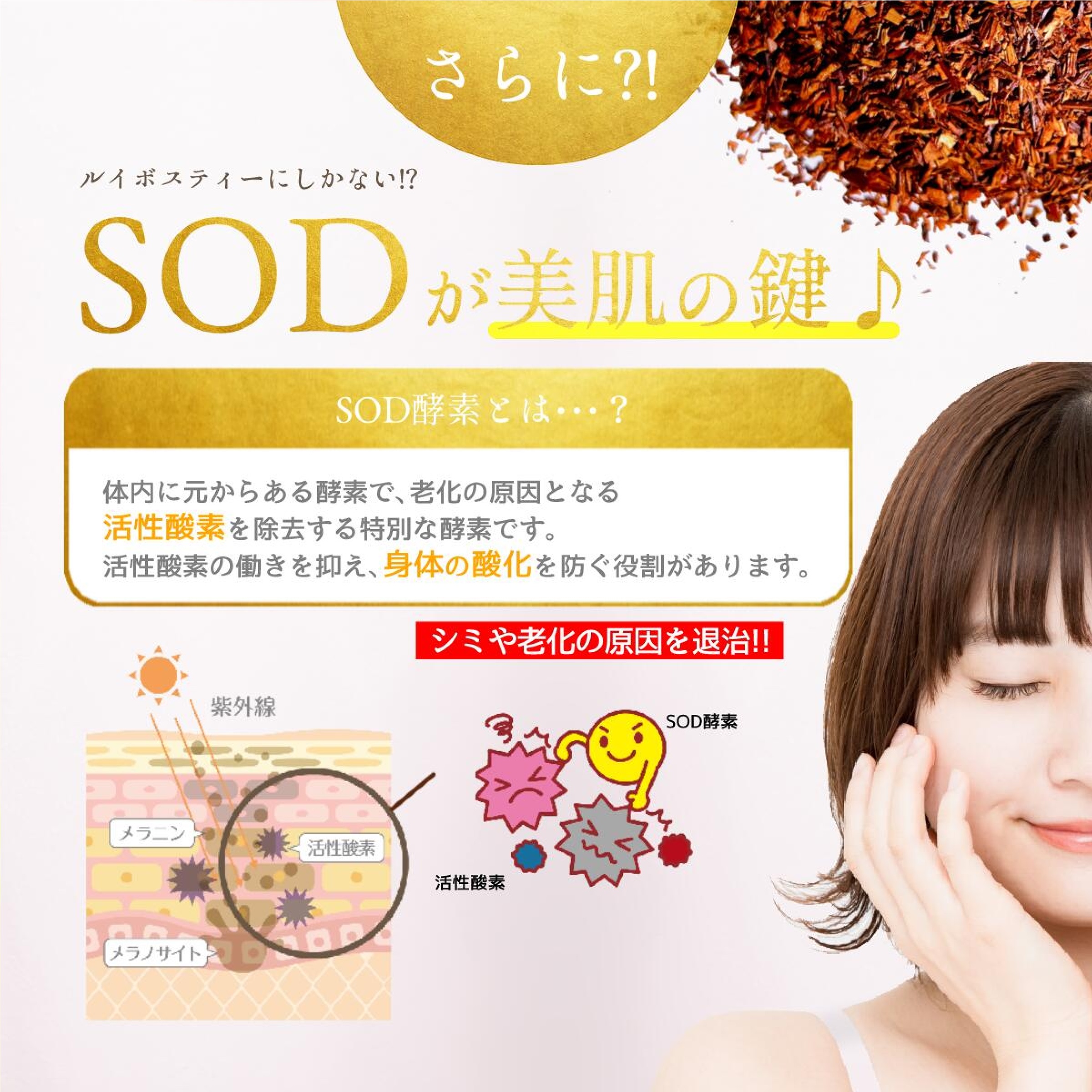 深 ルイボスティー3g×30個入