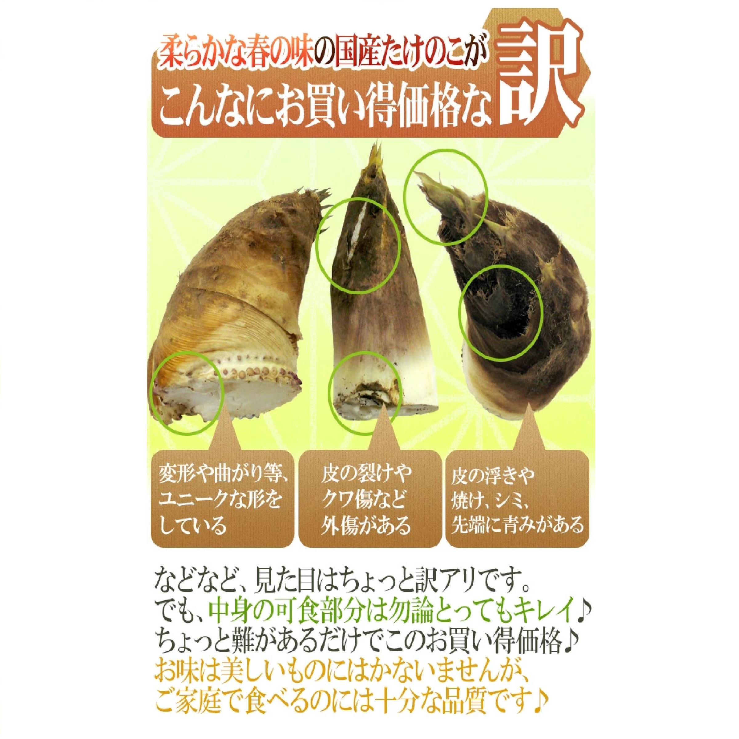 西日本産 新たけのこ 約4kg(訳あり・大きさおまかせ)  