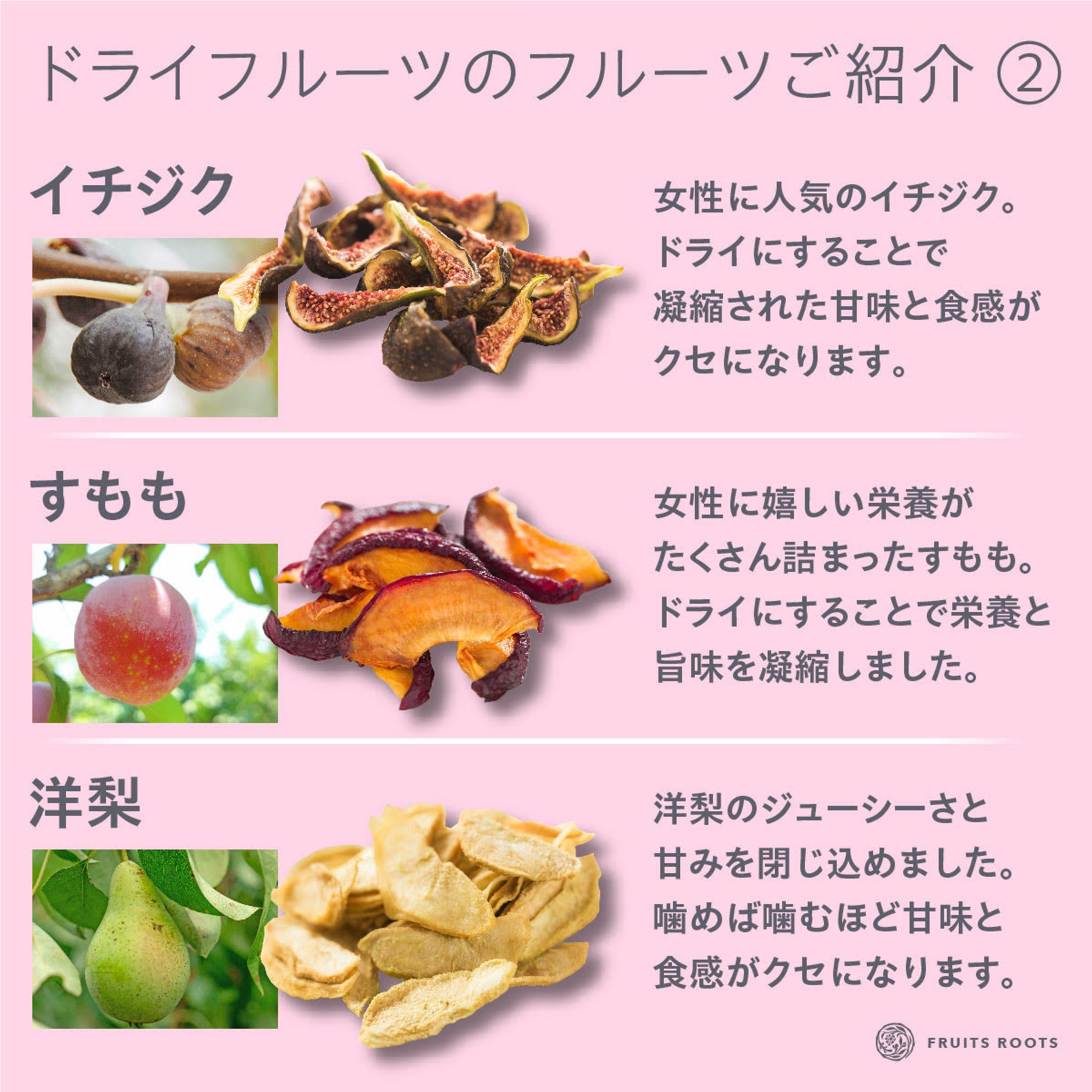 国産無添加ドライフルーツ 初回食べ比べ９種セット（りんご/いちご/キウイ/イチジク/すもも/洋なし/梨/不知火/トマト）