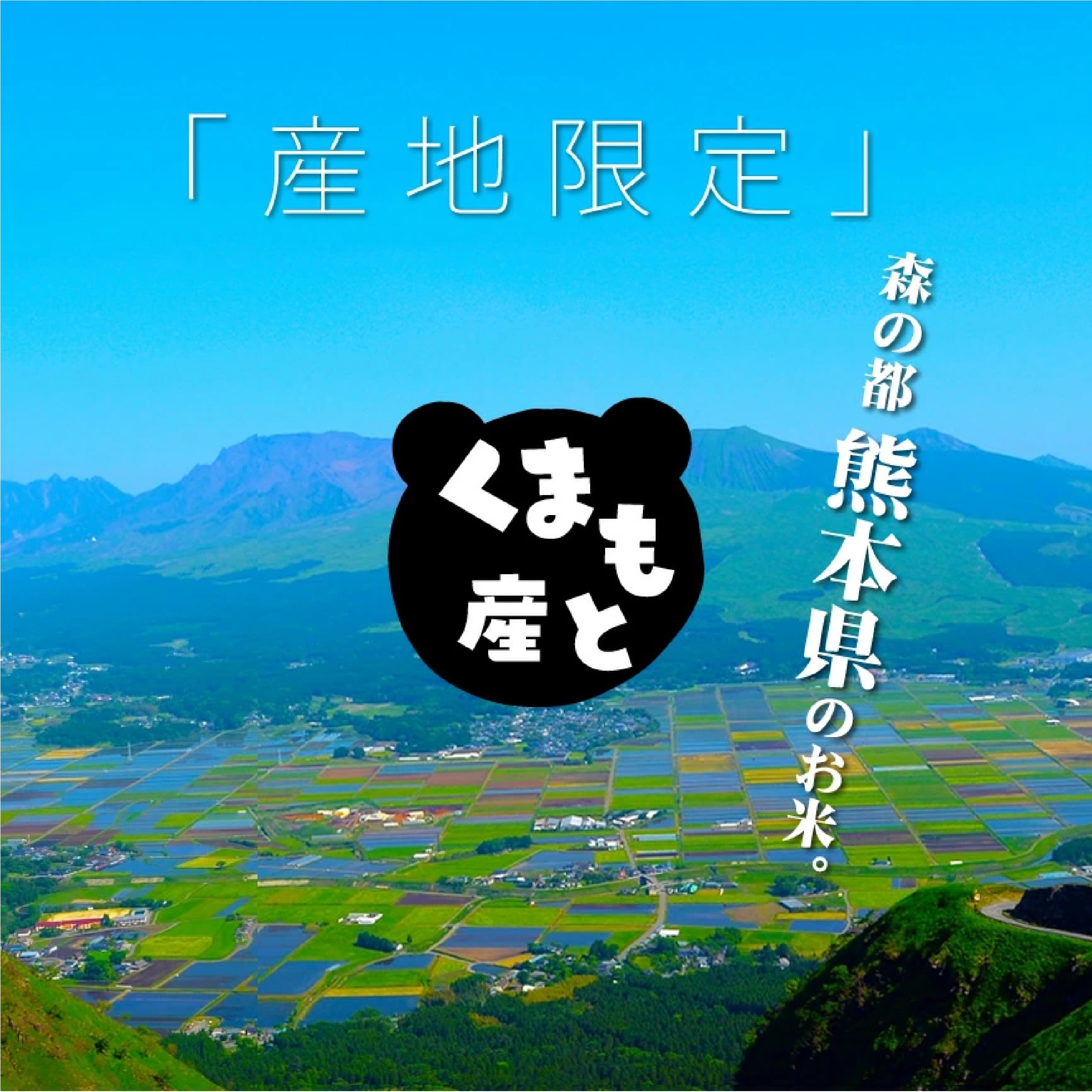 令和7年熊本県産 森のくまさん [特A米]  