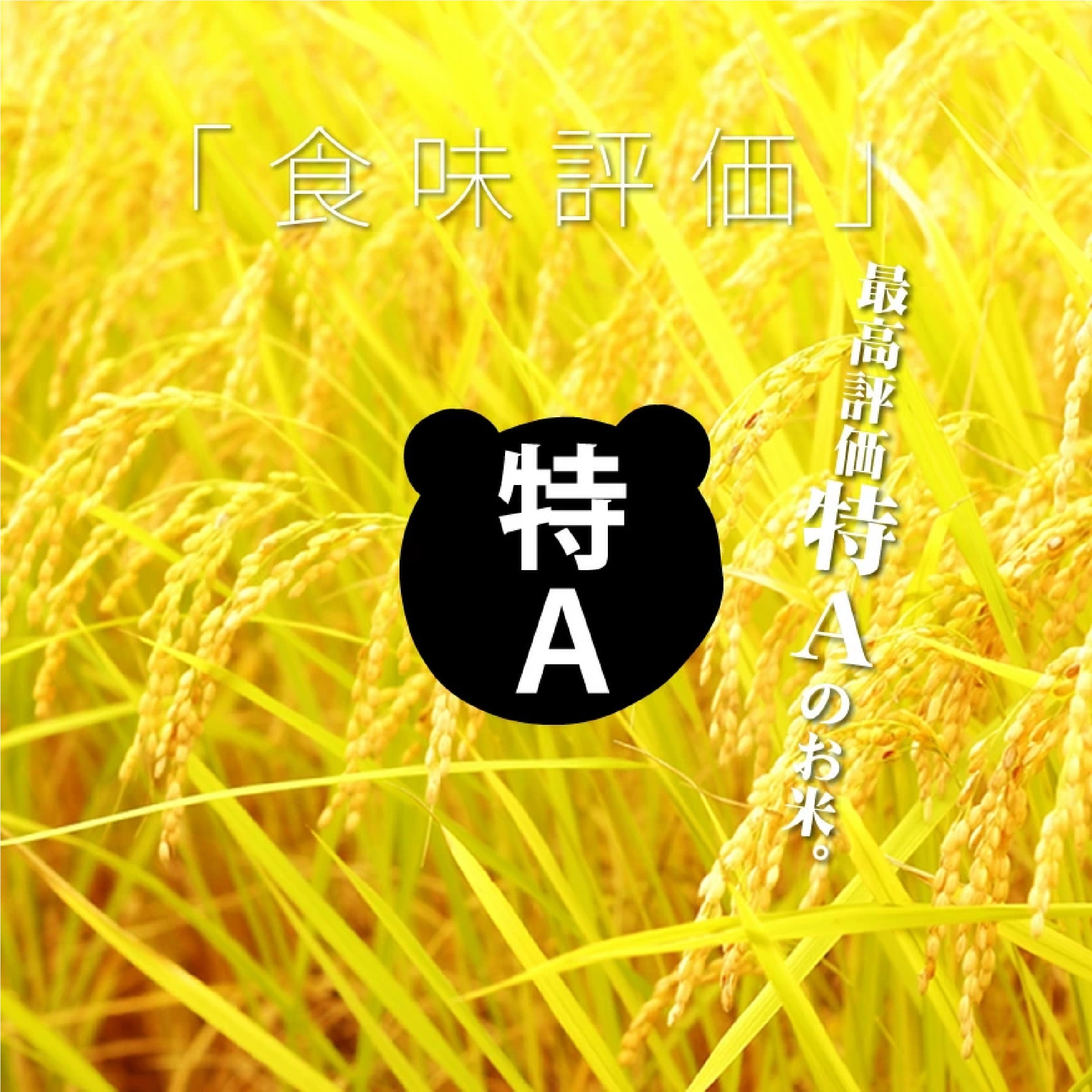 令和7年熊本県産 森のくまさん [特A米]  