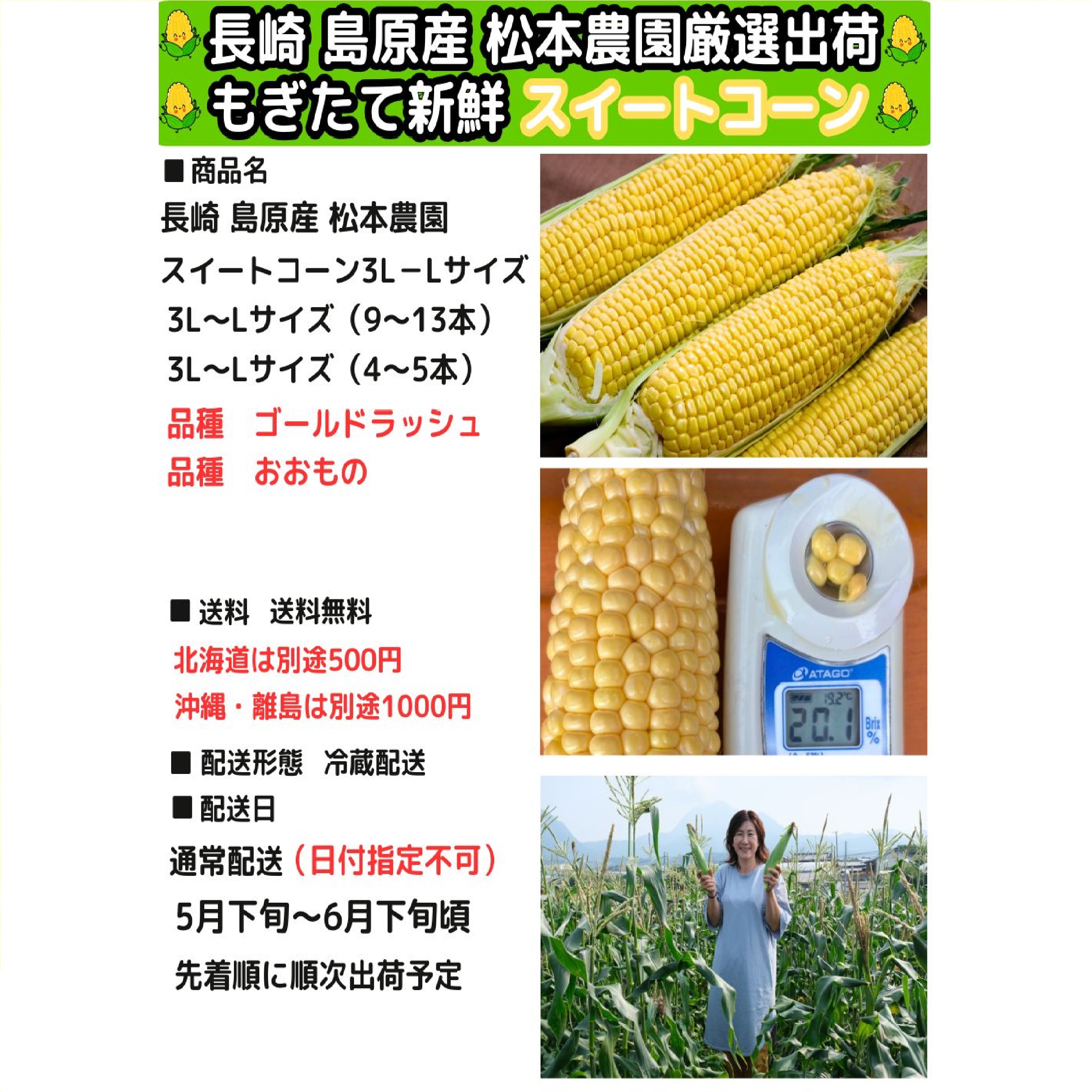 長崎産 松本農園 生トウモロコシ 3L〜L 4-5本