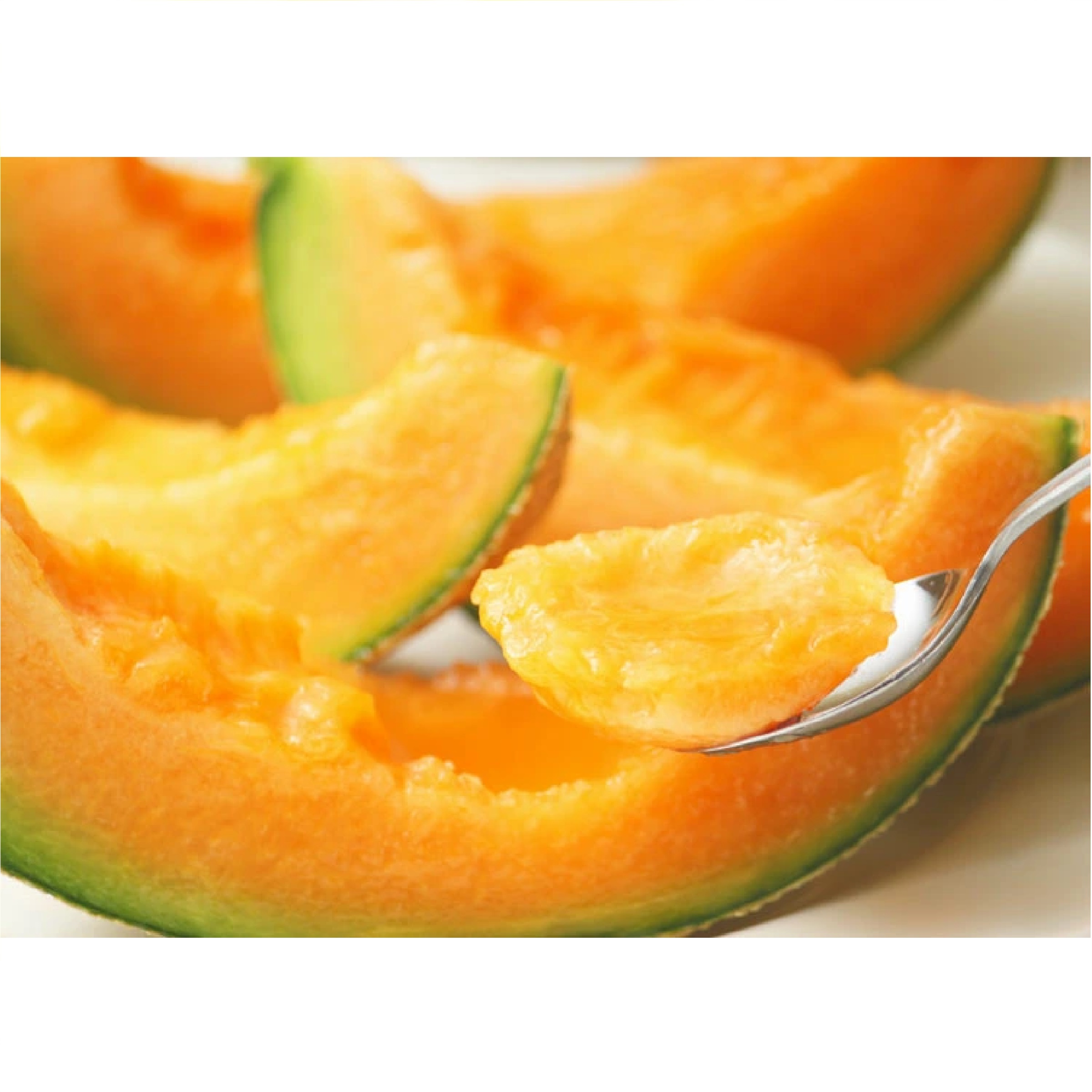 ふらのメロン 秀品2Lサイズ 1玉 ※５月下旬以降発送