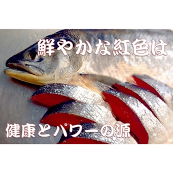 築地魚河岸 北洋産紅鮭セット（紅鮭70g×10）冷凍
