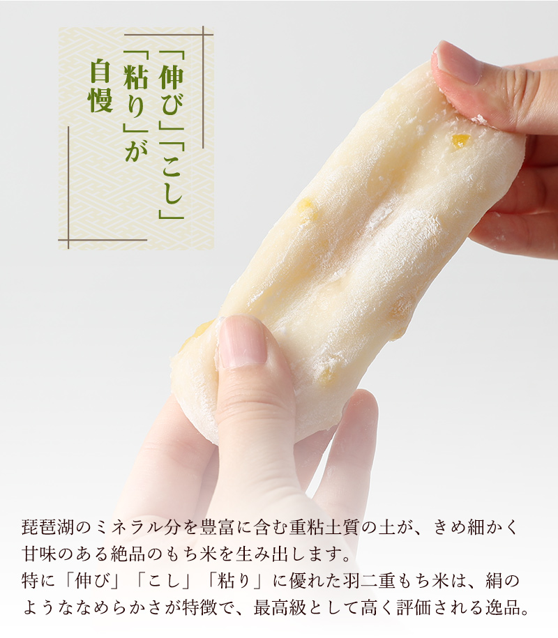 五感で楽しむ和菓子 彩り大福 9種類